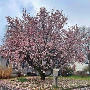 Meet your Posher, Wenting